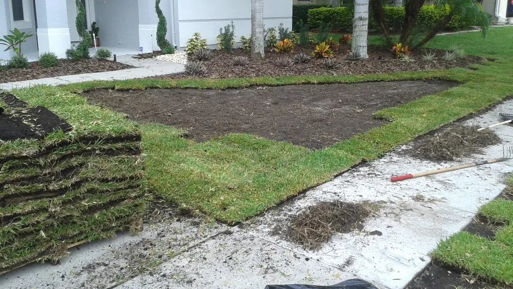Affordable landscaping services in Orlando, FL - My Three Sons