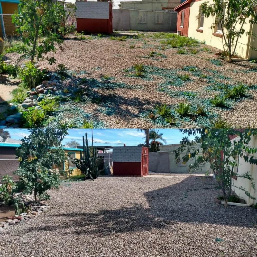 Custom landscape installation with custom design across Tucson, AZ - My Tucson Landscaping