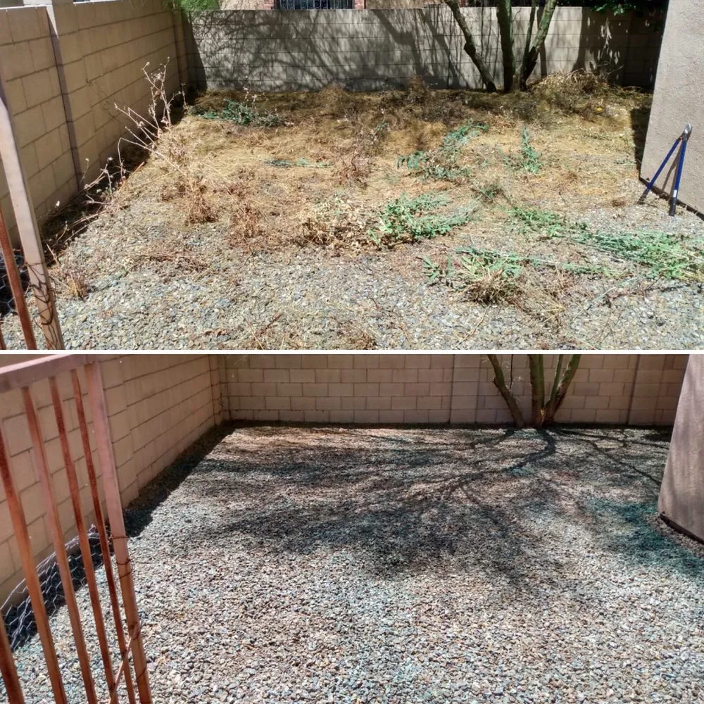 Reliable yard maintenance in Tucson, AZ - My Tucson Landscaping