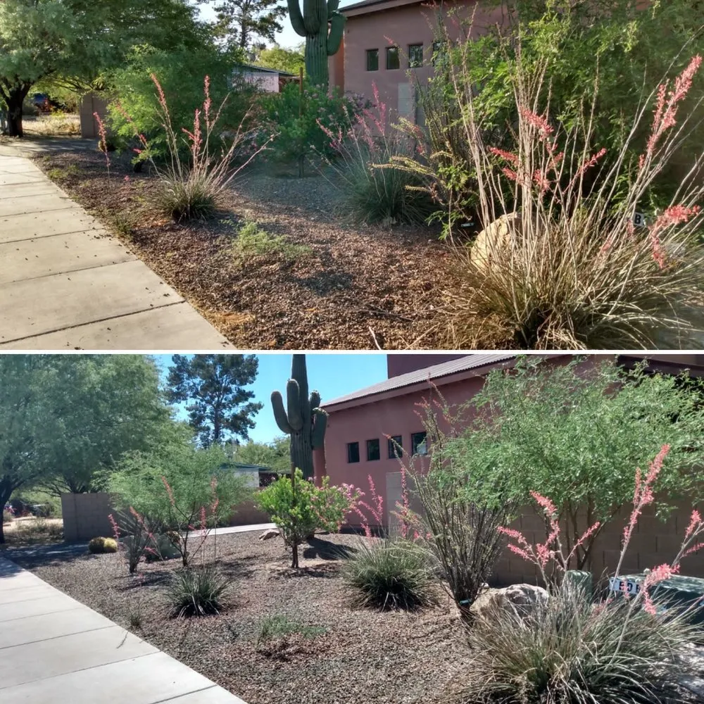 Top-rated lawn mowing service near you in Tucson, AZ by My Tucson Landscaping