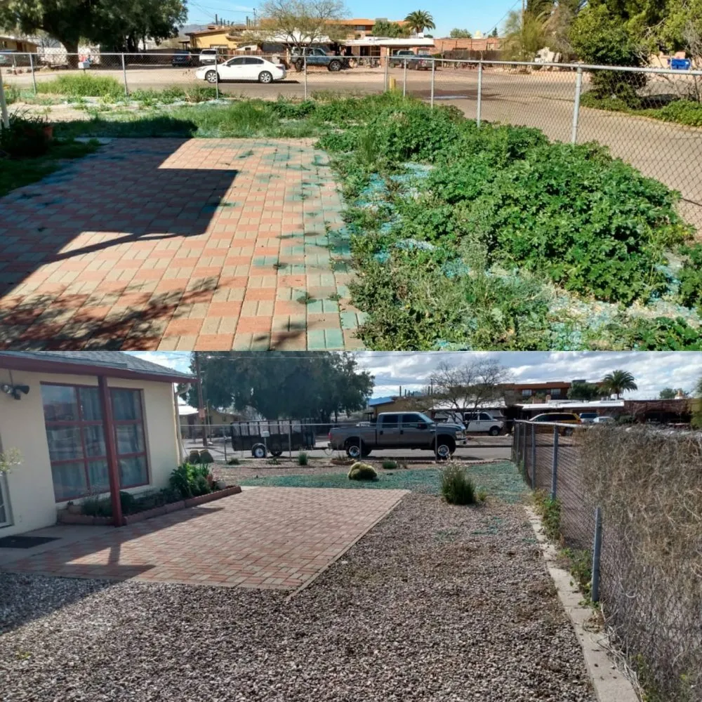 Local landscaping services in Tucson, AZ by My Tucson Landscaping