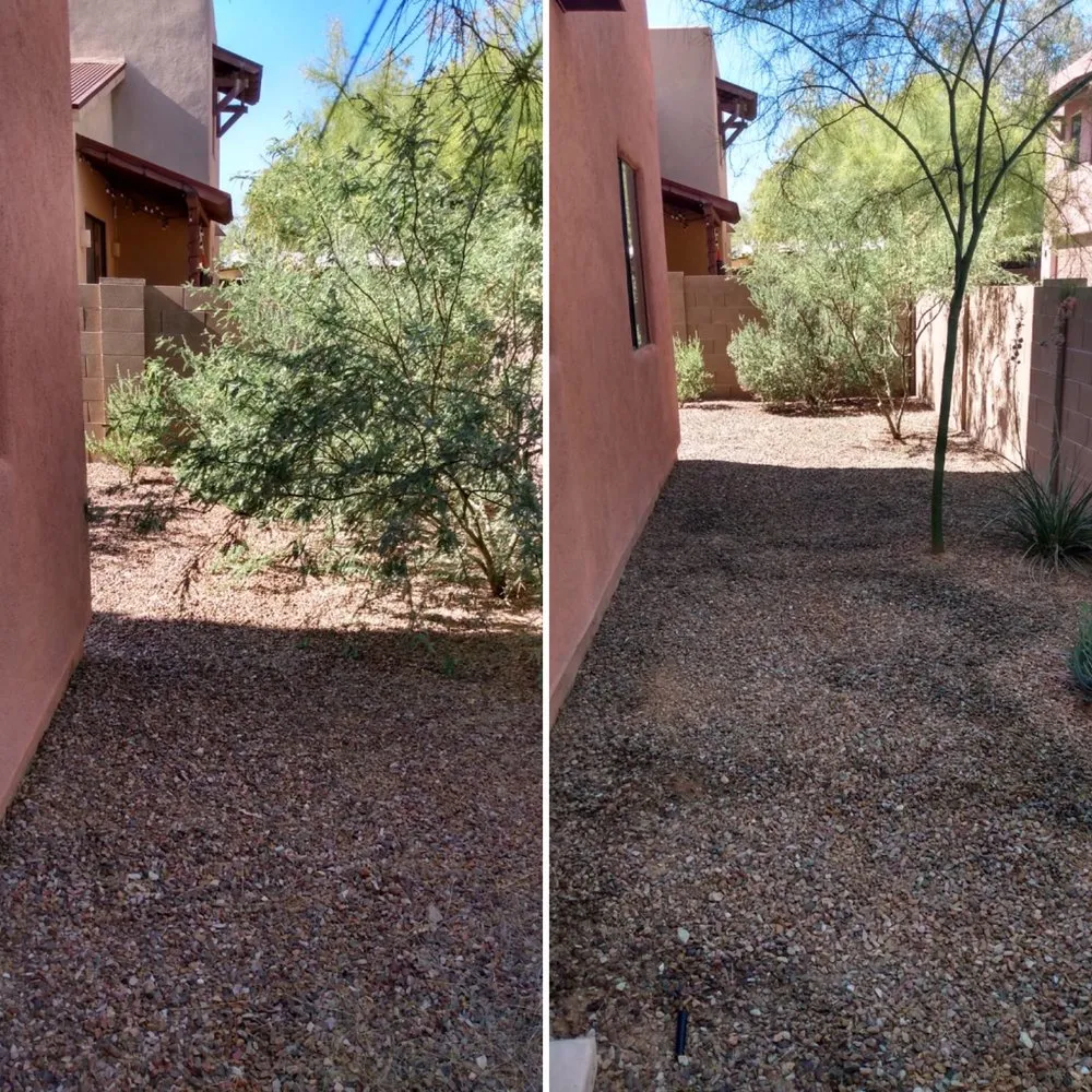Affordable garden landscaping in Tucson, AZ - My Tucson Landscaping