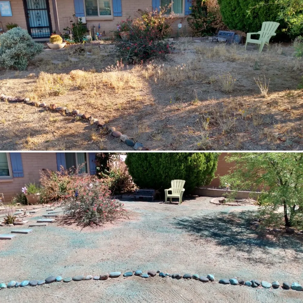 Affordable landscaping services for year-round maintenance across Tucson, AZ - My Tucson Landscaping