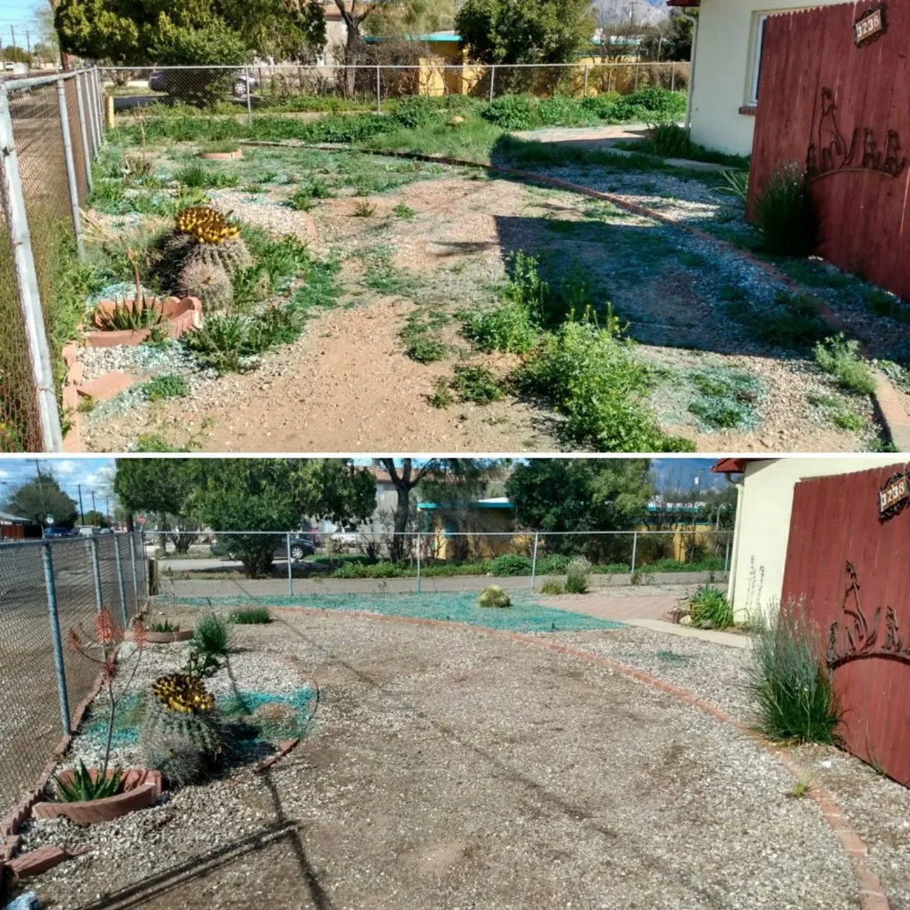 Professional yard maintenance experts serving Tucson, AZ - My Tucson Landscaping