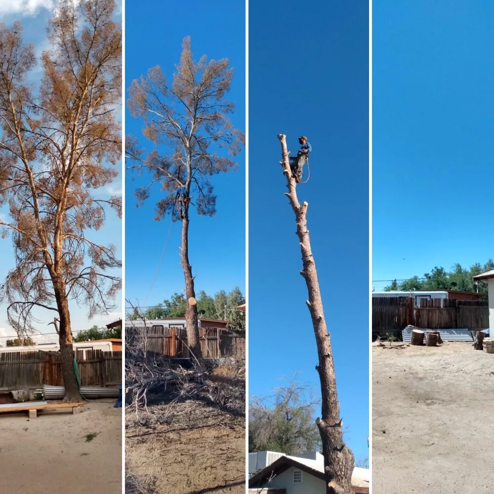 Professional garden landscaping experts serving Tucson, AZ - My Tucson Landscaping