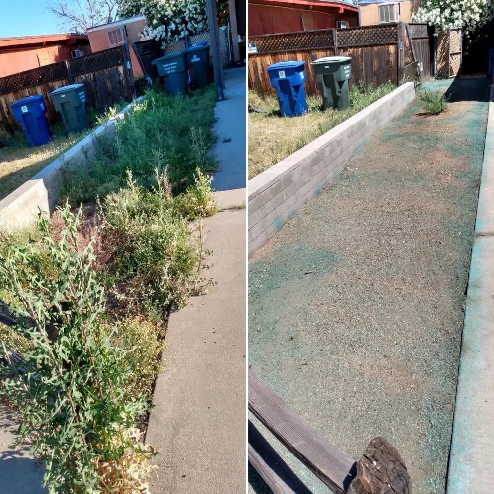 Affordable lawn care service in Tucson, AZ by My Tucson Landscaping