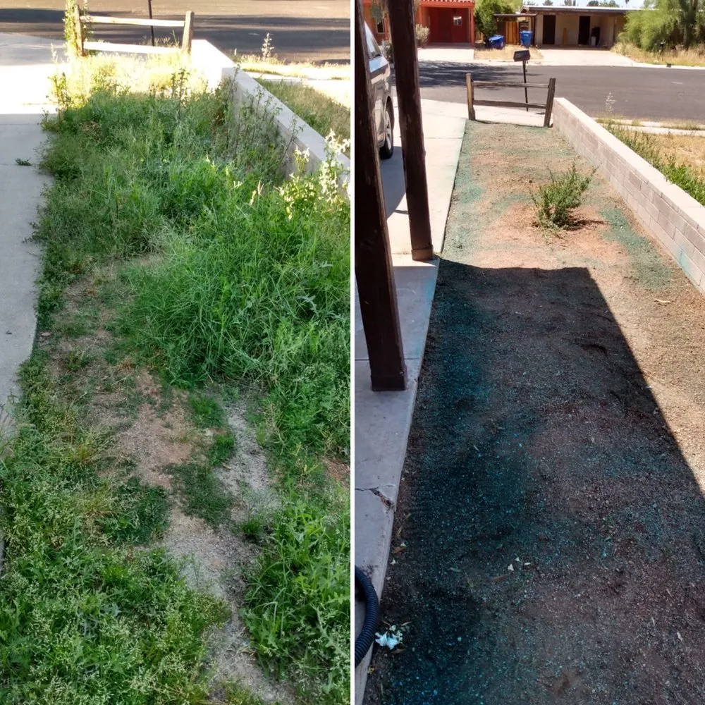 Custom lawn mowing service in Tucson, AZ - My Tucson Landscaping