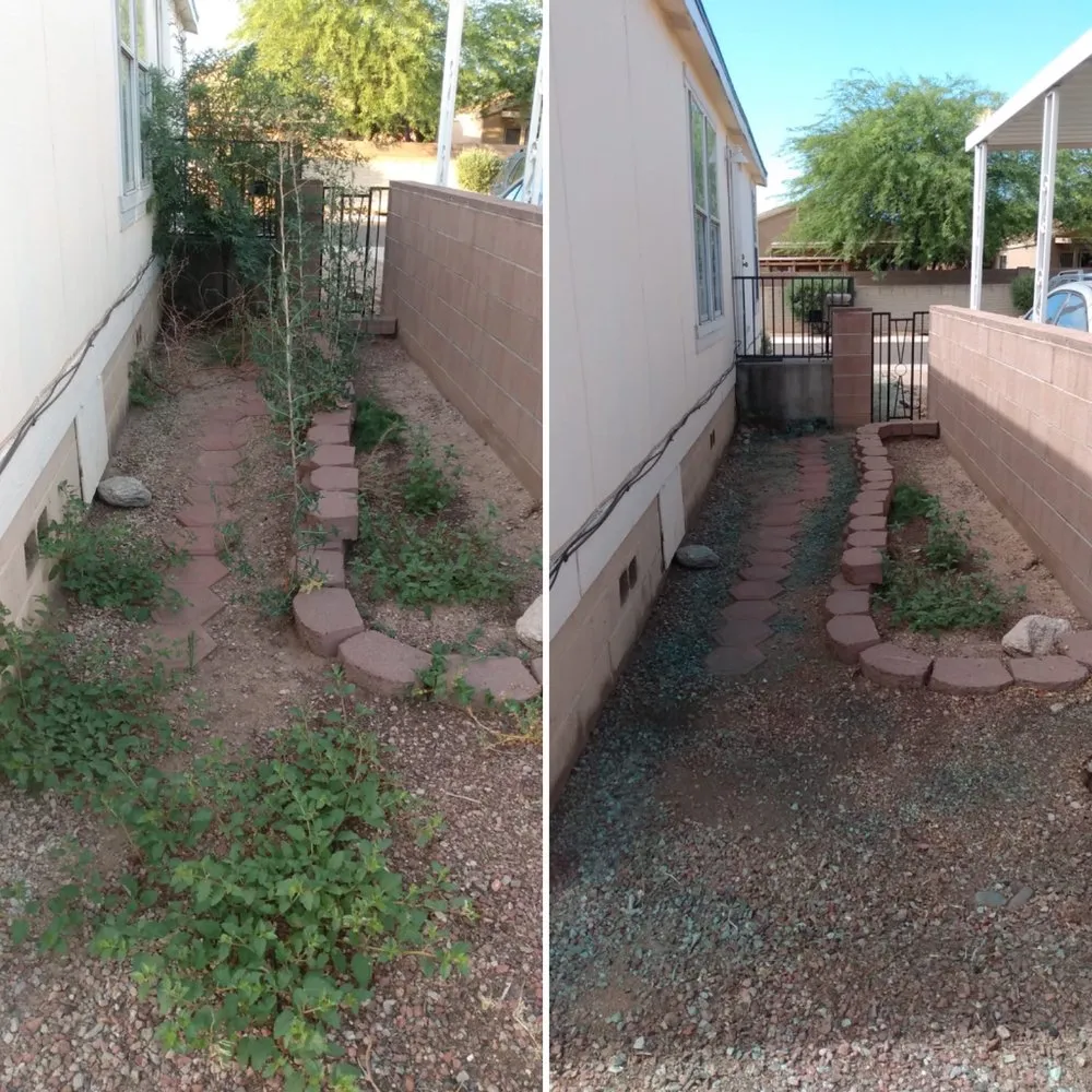 Professional lawn mowing service for year-round maintenance in Tucson, AZ by My Tucson Landscaping