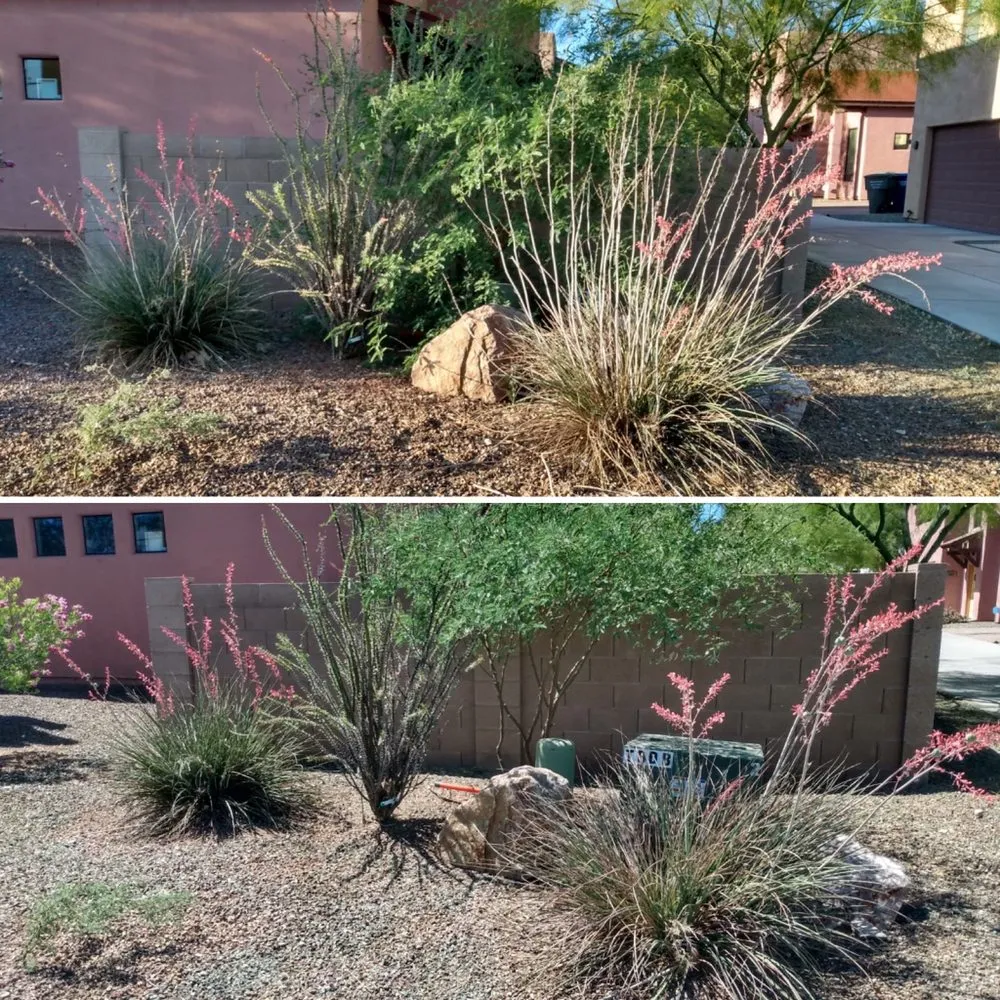 Reliable landscaping services with custom design across Tucson, AZ - My Tucson Landscaping