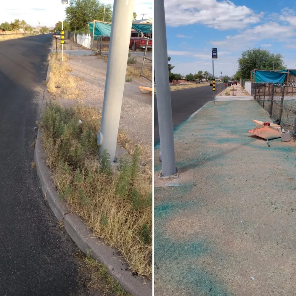 Expert yard cleanup service in Tucson, AZ by My Tucson Landscaping