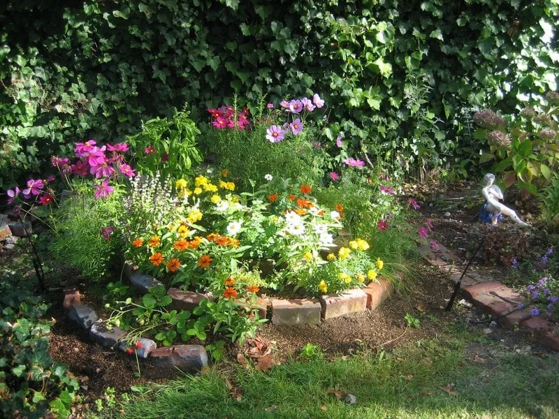 Top-rated yard cleanup service experts serving El Cerrito, CA - My Urban Gardener