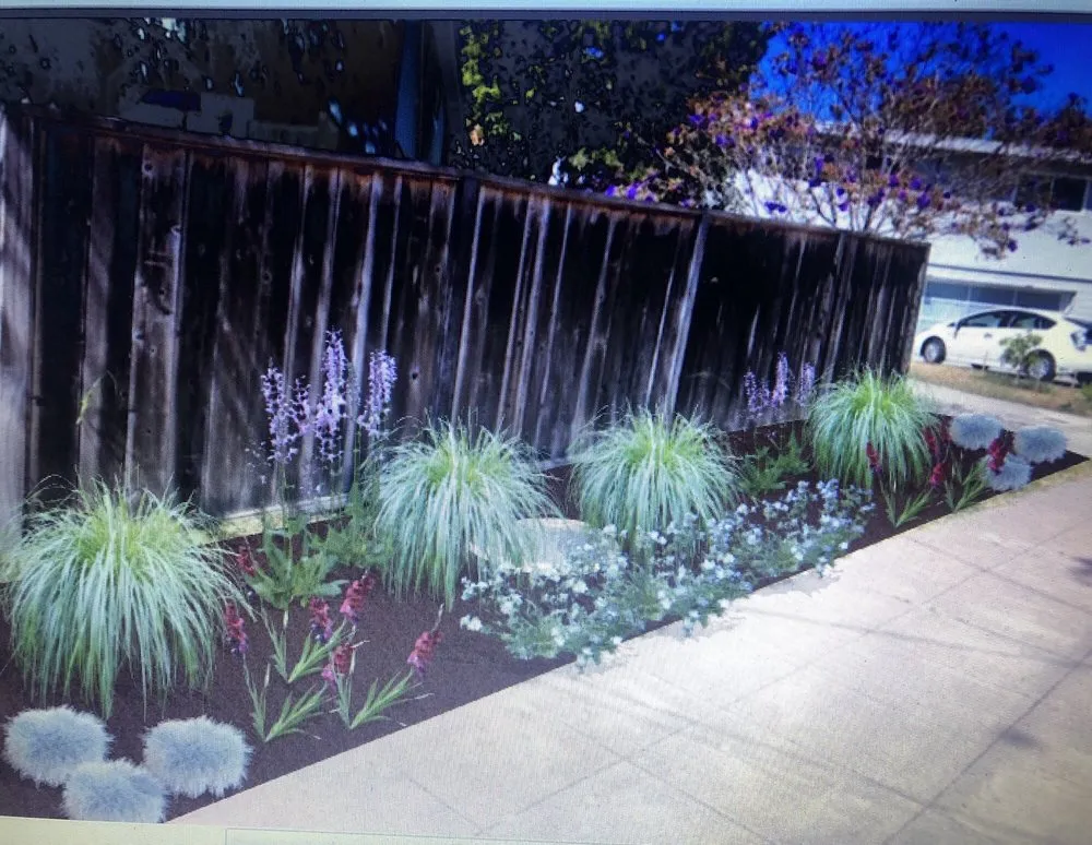 Trusted lawn mowing service in El Cerrito, CA by My Urban Gardener