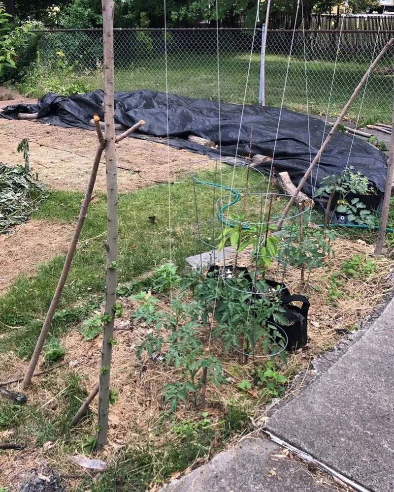 Top-rated garden landscaping for year-round maintenance across Saddle Brook, NJ - Mycogarden