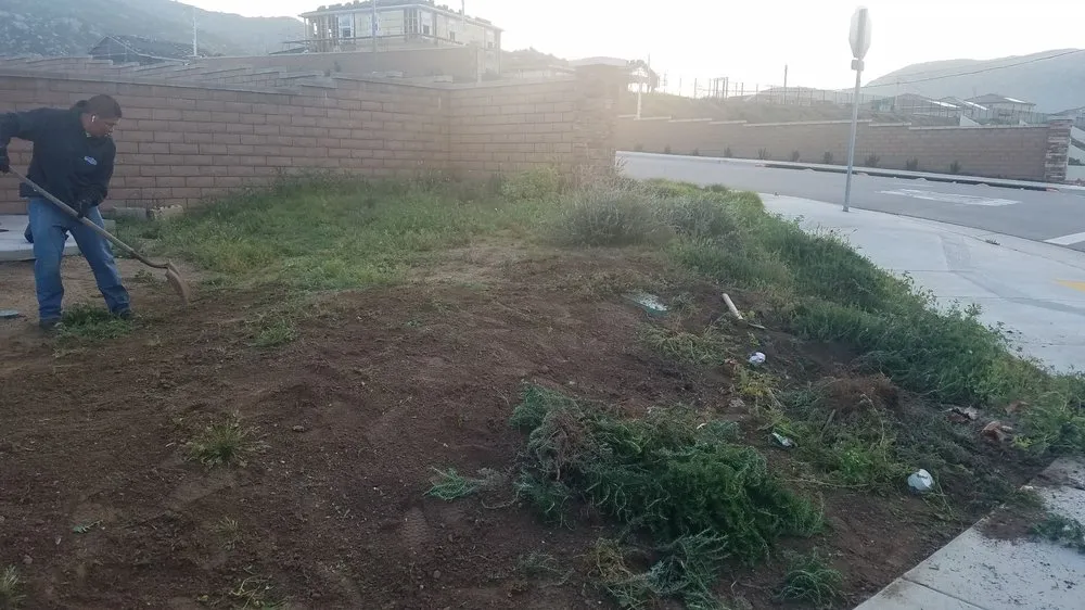 Top-rated landscape design for outdoor upgrades in Riverside, CA by Myers Enterprises