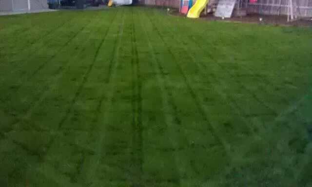 Local lawn mowing service for homes across Riverside, CA - Myers Enterprises