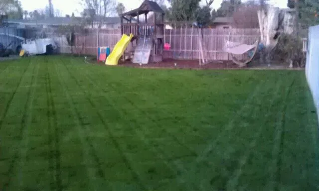 Trusted lawn care service for beautiful yards across Riverside, CA - Myers Enterprises