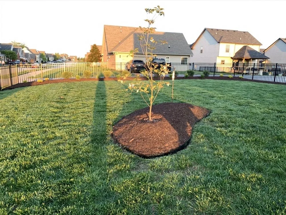 Affordable lawn care service in Clarksville, TN by Myers Landscaping