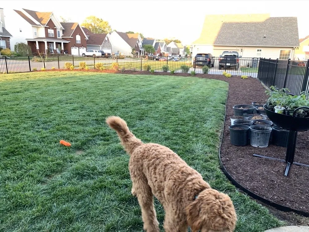 Professional yard cleanup service in Clarksville, TN by Myers Landscaping