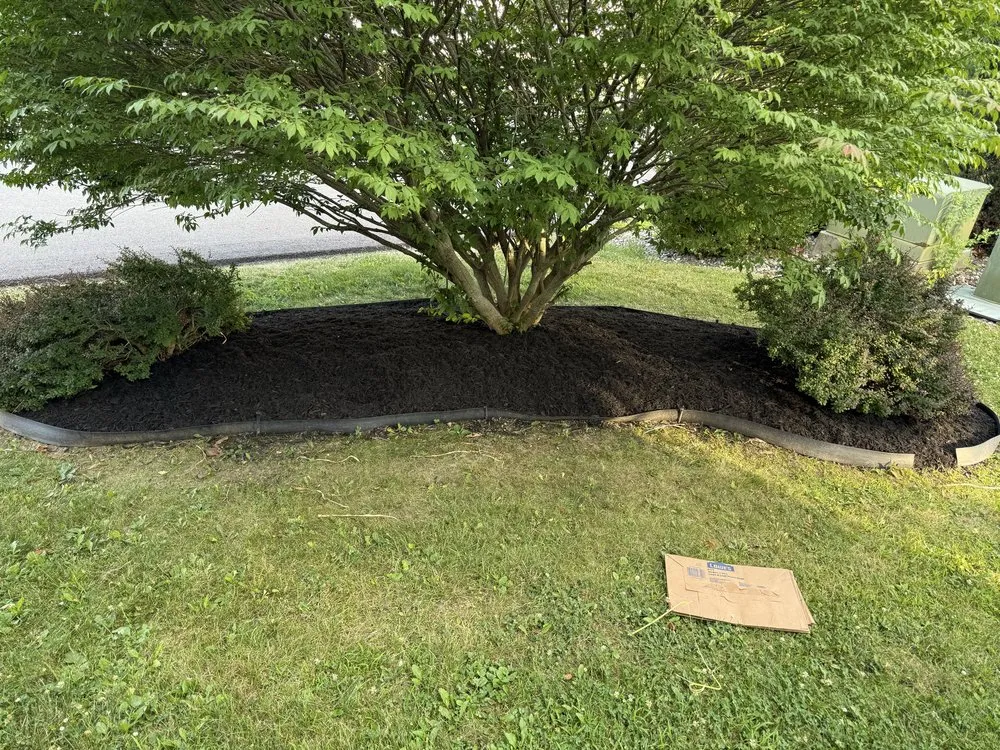 Local outdoor landscaping experts serving Duanesburg, NY - Myers Landscaping