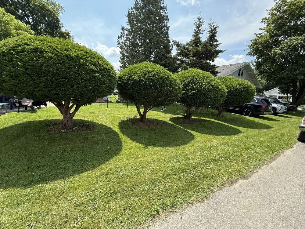 Custom residential landscaping for residential properties in Duanesburg, NY by Myers Landscaping