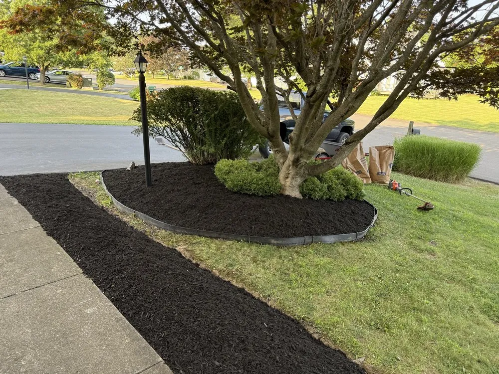 Top-rated lawn mowing service experts serving Duanesburg, NY - Myers Landscaping