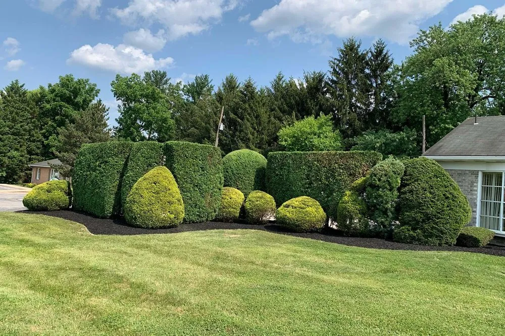 Custom lawn mowing service in York, PA by Myers Lawn & Landscape