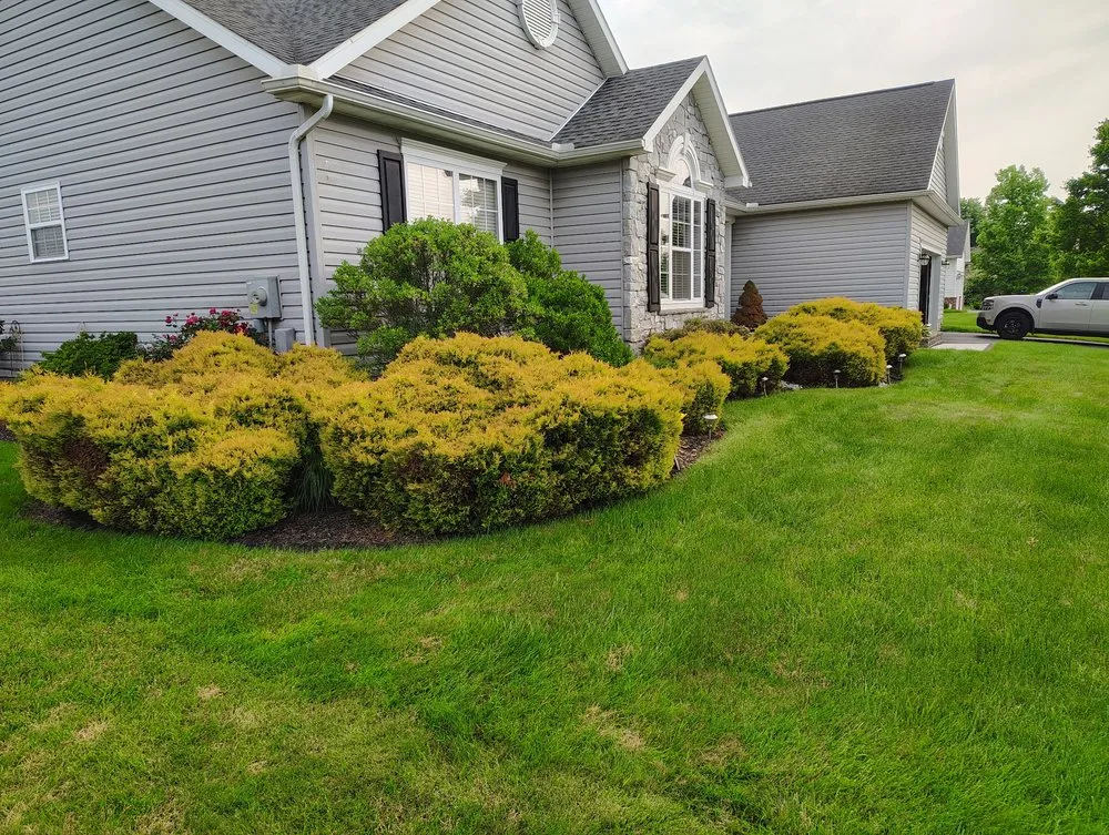 Top-rated yard cleanup service for homes in York, PA by Myers Lawn & Landscape