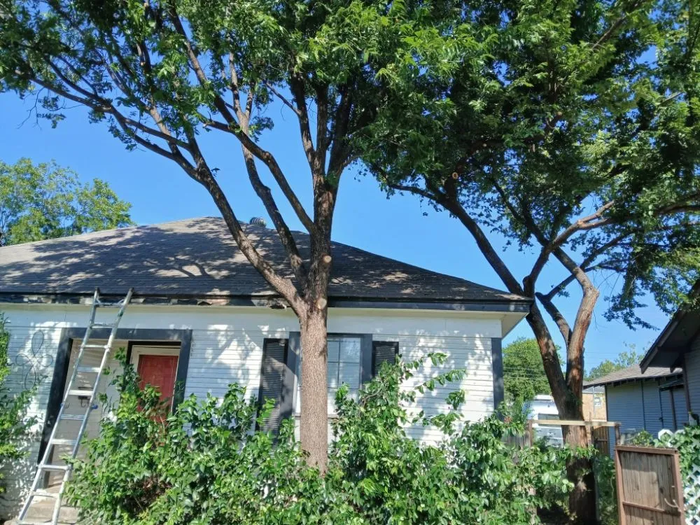 Top-rated landscape design near you across Abilene, TX - Myers Lawn And Tree Service