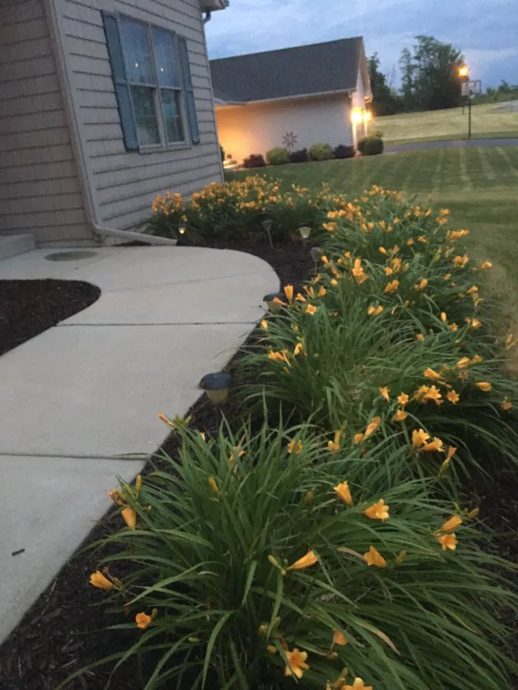 Top-rated lawn care service for beautiful yards in Machesney Park, IL by Myers Lawn Care