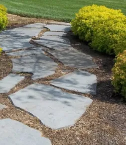 Local yard cleanup service in Sykesville, MD - Myers Lawn Care Services