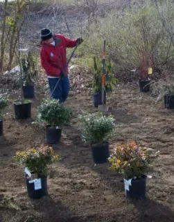 Local landscape design for residential properties in Sykesville, MD by Myers Lawn Care Services