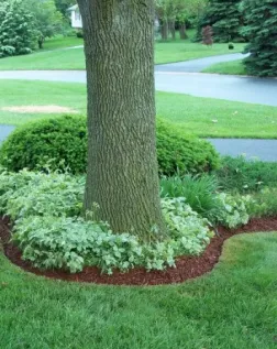 Custom landscape installation in Sykesville, MD - Myers Lawn Care Services