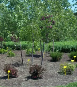 Affordable garden landscaping for beautiful yards in Sykesville, MD by Myers Lawn Care Services