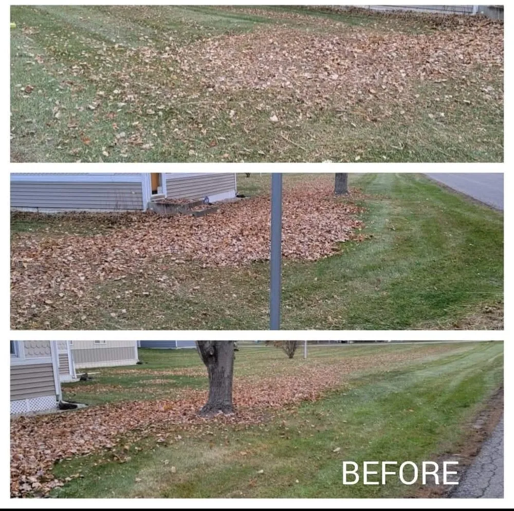 Expert yard maintenance in Genoa City, WI - Myers Maintenance & Repairs