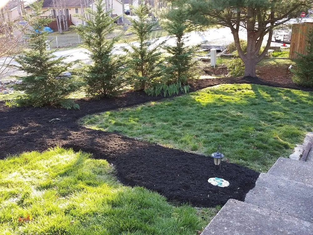 Expert yard maintenance for outdoor upgrades in Ruther Glen, VA by Myers Mowing & More