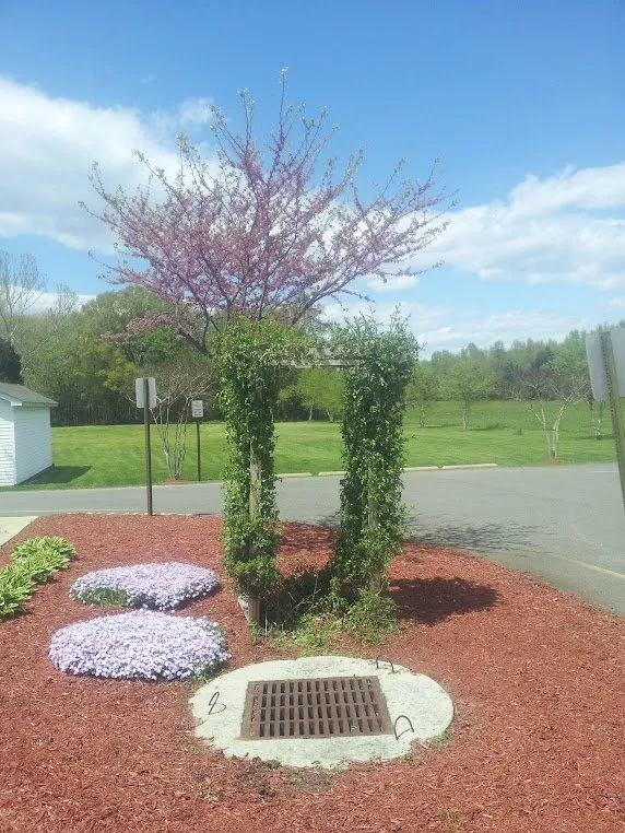 Expert landscape installation in Ruther Glen, VA by Myers Mowing & More