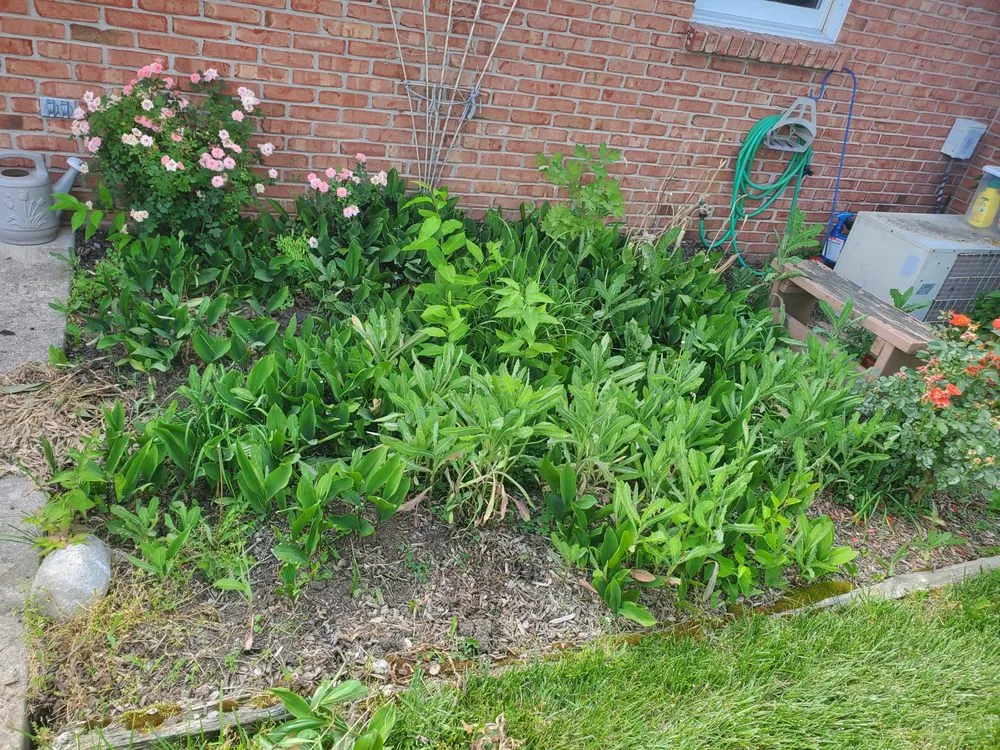 Reliable landscaping services for year-round maintenance in Brookston, IN by Myers Mowing