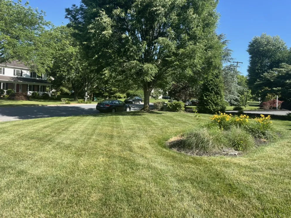 Local landscape installation for year-round maintenance in Lancaster, PA by Myers Mowing