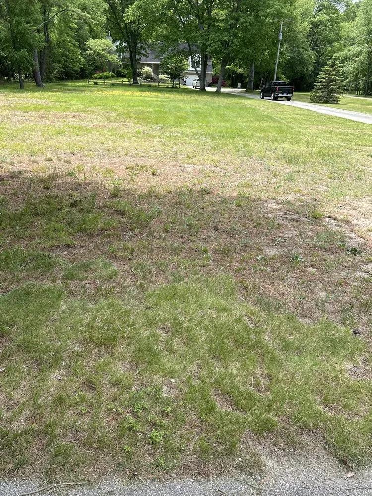 Local lawn mowing service in Grand Haven, MI - Myers Property Management and Landscaping
