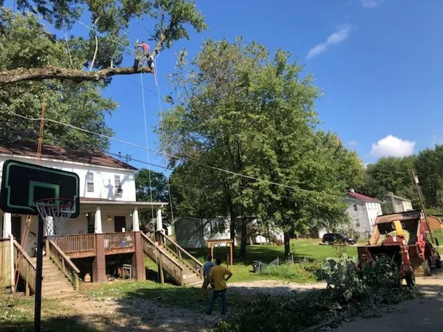 Expert landscaping services in Fairchance, PA by Myers Tree Service