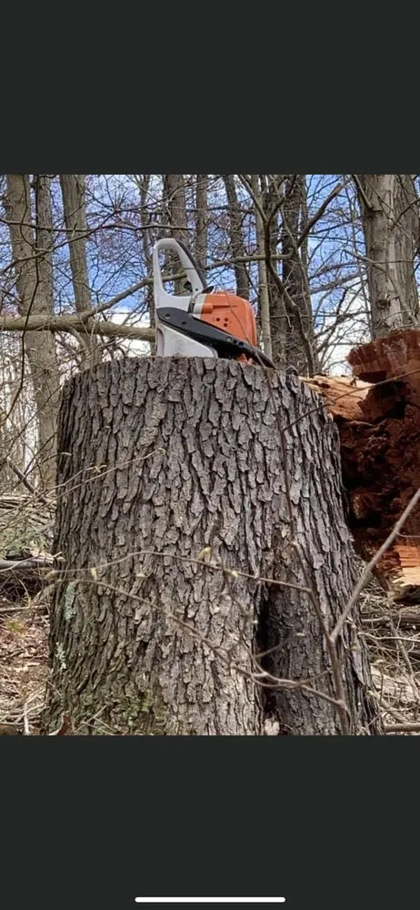 Custom residential landscaping near you across Fairchance, PA - Myers Tree Service