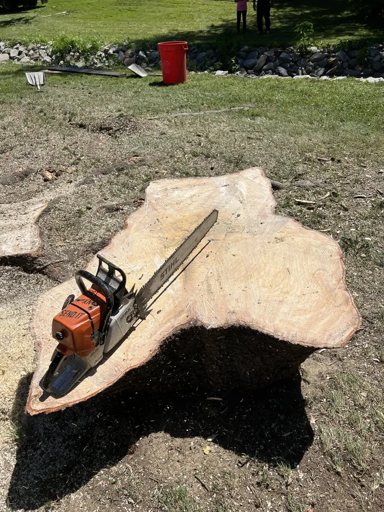 Local lawn care service in Fairchance, PA by Myers Tree Service