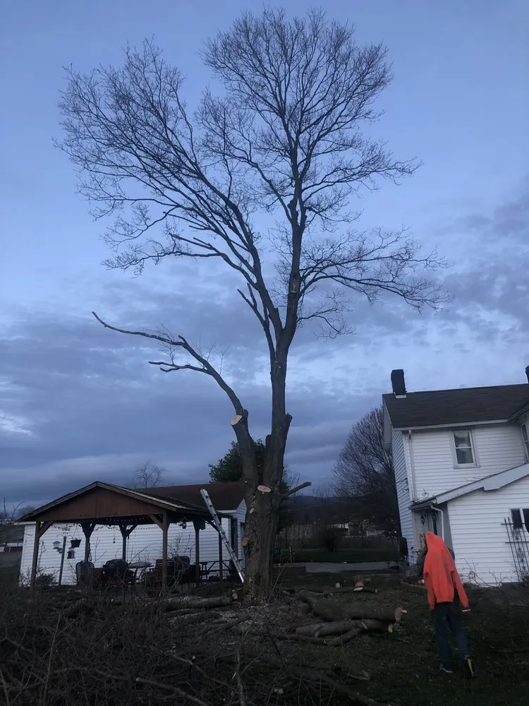Local landscape installation in Fairchance, PA - Myers Tree Service