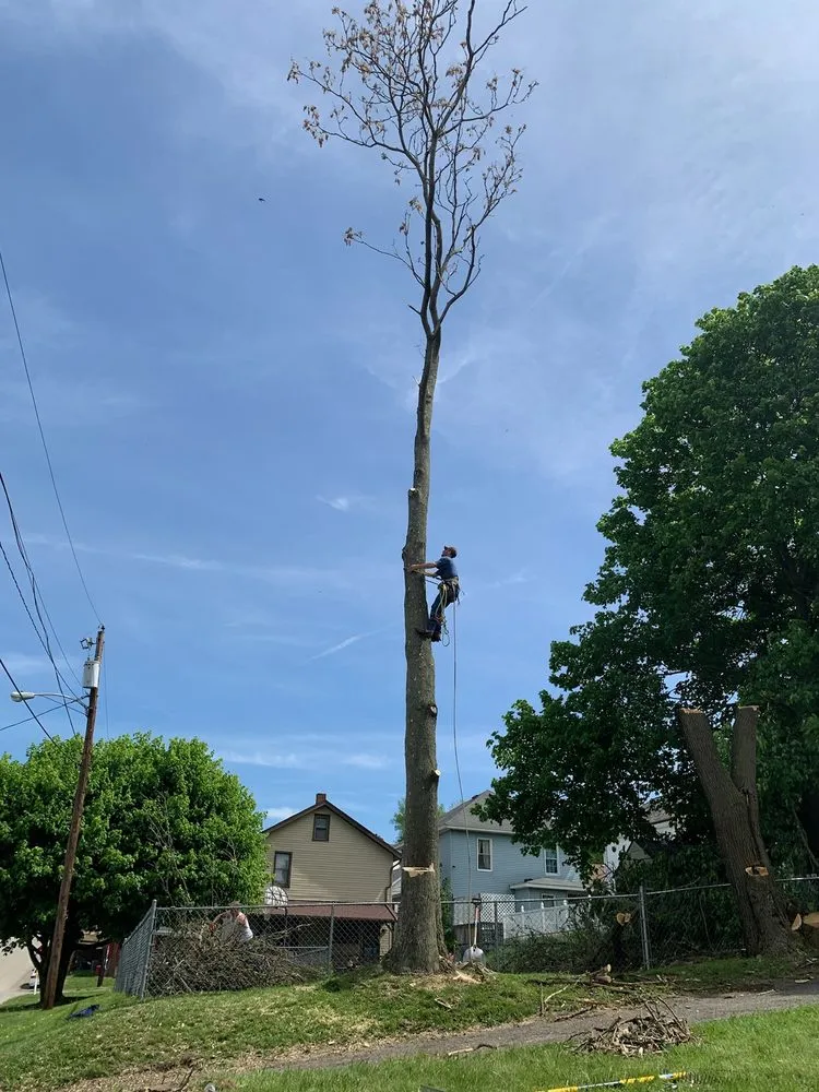 Reliable residential landscaping for homes across Fairchance, PA - Myers Tree Service