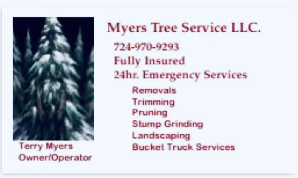 Custom yard maintenance experts serving Fairchance, PA - Myers Tree Service