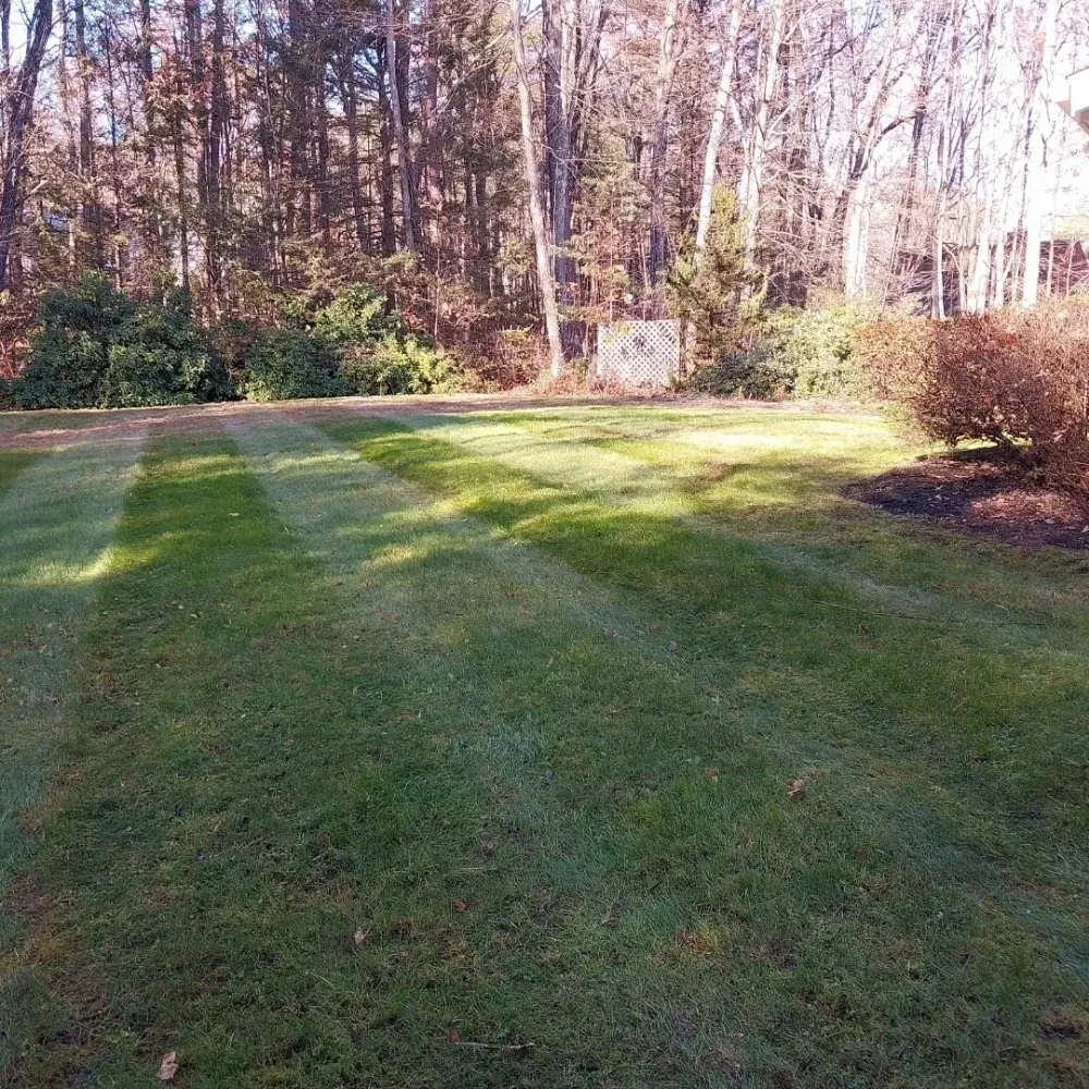 Professional lawn care service in Manchester, NH by Myette Lawn And Home Services