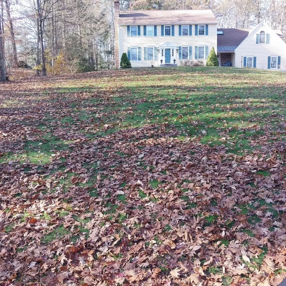 Professional yard cleanup service in Manchester, NH by Myette Lawn And Home Services