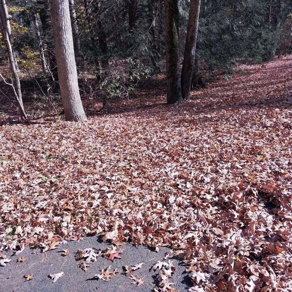 Top-rated landscape installation for homes across Manchester, NH - Myette Lawn And Home Services