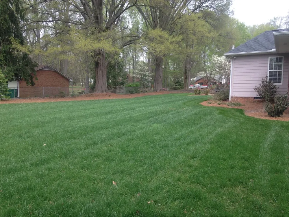 Top-rated yard cleanup service for residential properties in Winston-Salem, NC by myEZmow