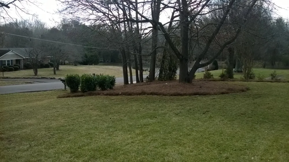 Reliable landscape installation in Winston-Salem, NC - myEZmow